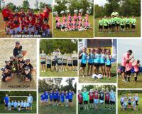 Seeking Community Support to Secure Future of Cloud-9 Bethalto Sports League