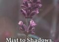 Mist to Shadows, to Light, Three-Part Harmony