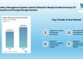 Battery Management System Market to Reach USD 12.36 Billion by 2030, Driven by Transportation and Stationary Growth | Mordor Intelligence