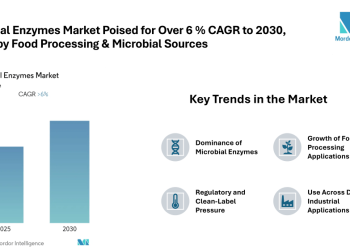 Industrial Enzymes Market Poised for Over 6 % CAGR to 2030, North America Largest, Asia-Pacific Fastest Growing, Driven by Food Processing & Microbial Sources