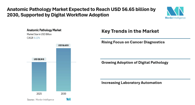 Anatomic Pathology Market Expected to Reach USD 56.65 billion by 2030, Supported by Rising Diagnostic Demand and Digital Workflow Adoption