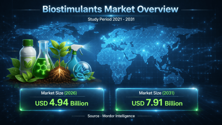 Global Biostimulants Market Size to Hit USD 7.91 Billion by 2031 | Strong 9.85% CAGR Ahead