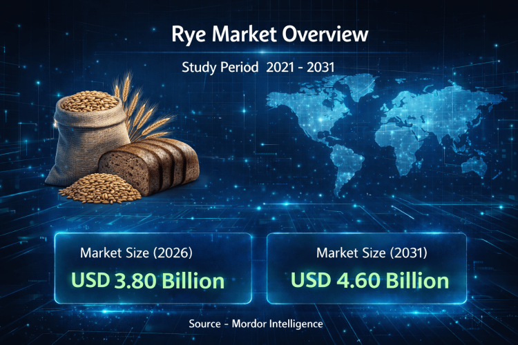 Rye Market Size to Reach USD 4.60 Billion by 2031 – Says, Mordor Intelligence