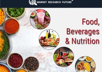 Oat Based Snacks Market Poised to Hit USD 37.5 Billion by 2035 on Rising Health Trends and Innovation
