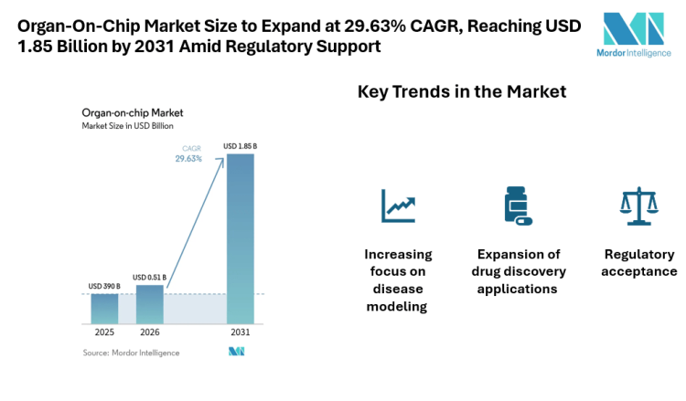 Organ-On-Chip Market Size to Expand at 29.63% CAGR, Reaching USD 1.85 Billion by 2031 Amid Regulatory Support